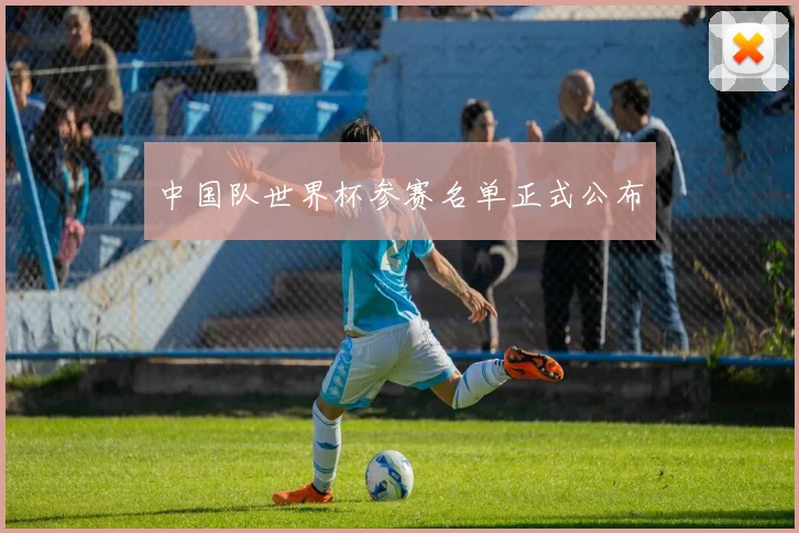 中国队世界杯参赛名单正式公布