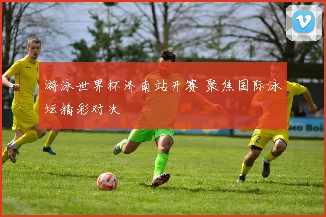 游泳世界杯济南站开赛 聚焦国际泳坛精彩对决
